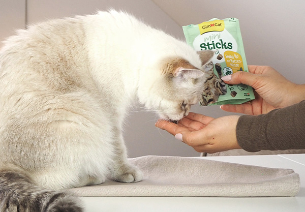 Gim Cat > Mini Sticks | GIMBORN